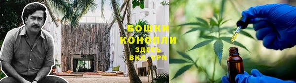 бошки Медногорск