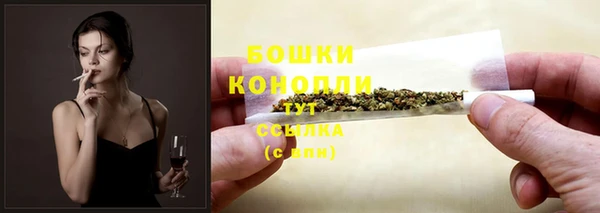 бошки Медногорск