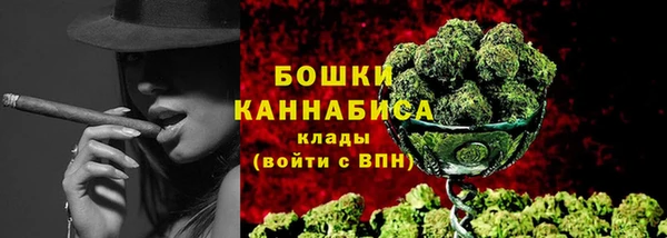 PSILOCYBIN Медвежьегорск