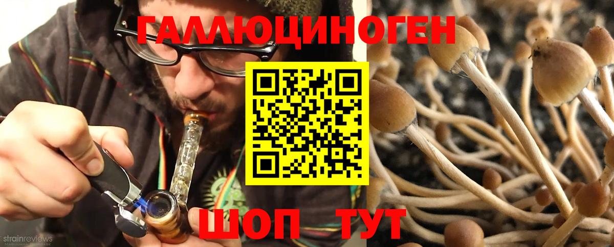 Ростов-на-Дону  Галлюциногенные грибы прущие грибы  Вход с VPN 